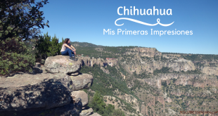 Chihuahua Mis Primeras Impresiones Portada
