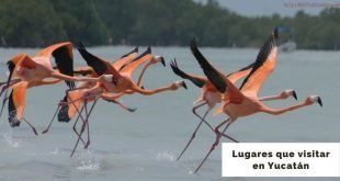 lugares para visitar en yucatan (1)