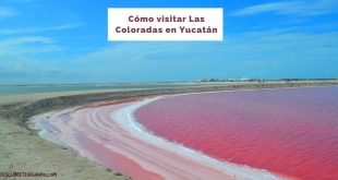 las coloradas yucatan portada-min